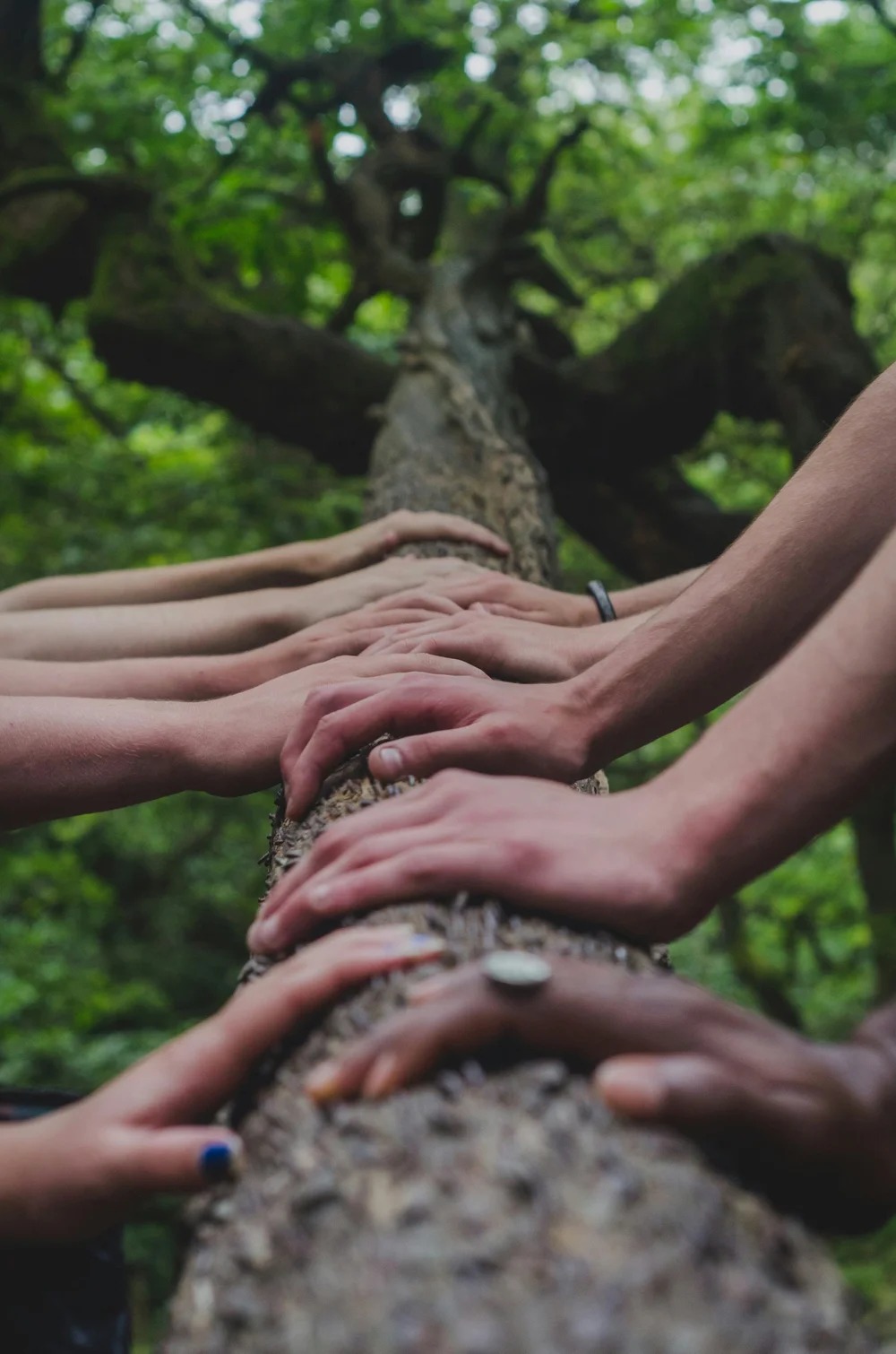 Team and Leadership Coherence